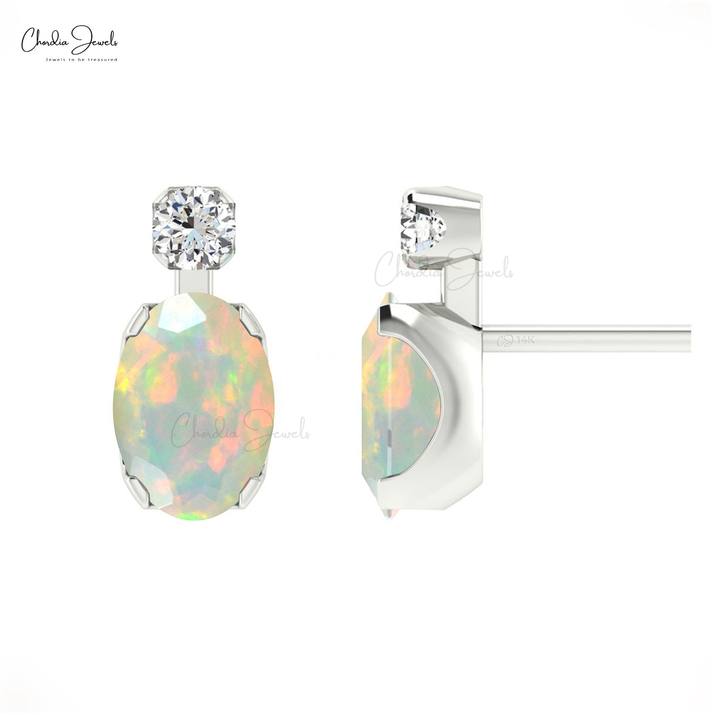 2 Stone Earrings
