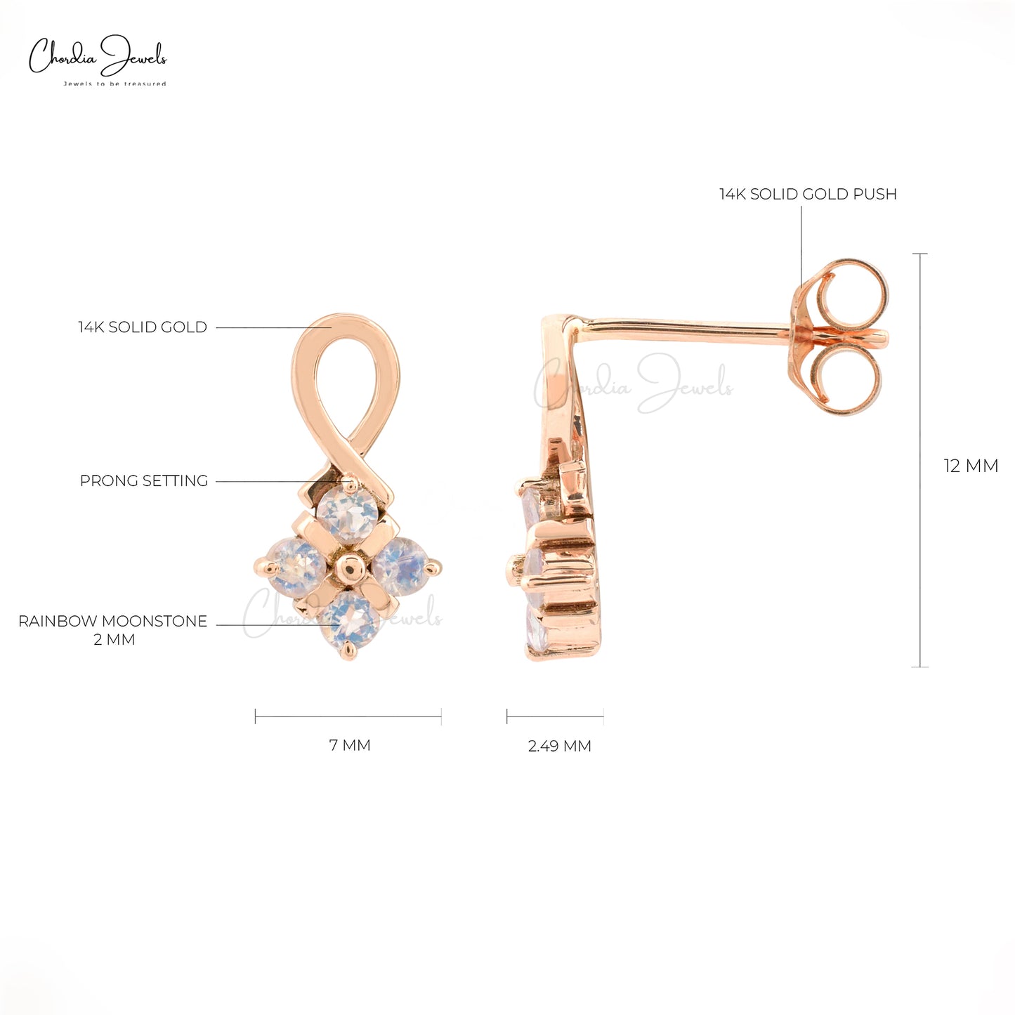 Rose Gold Earrings