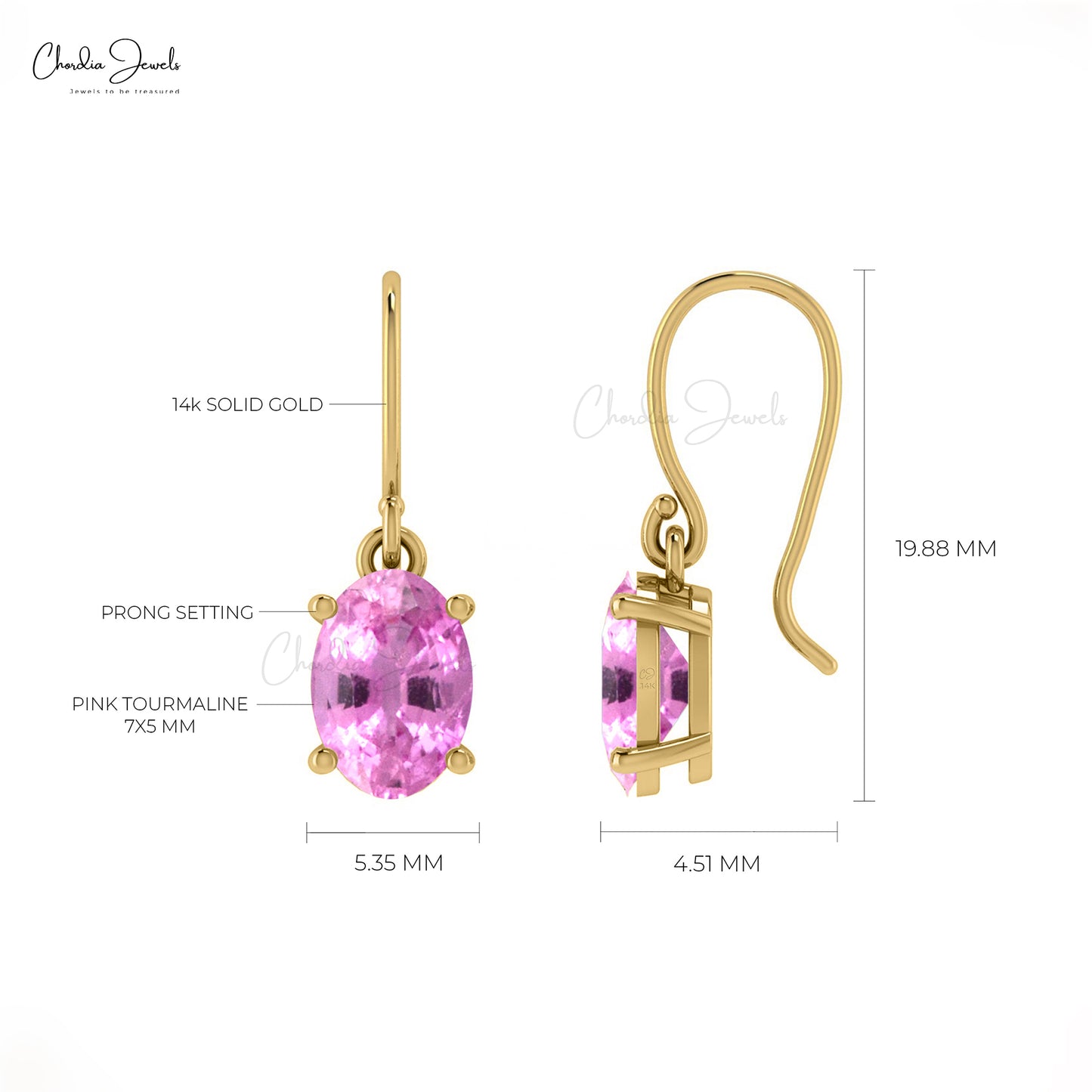 Fish Hook Earrings