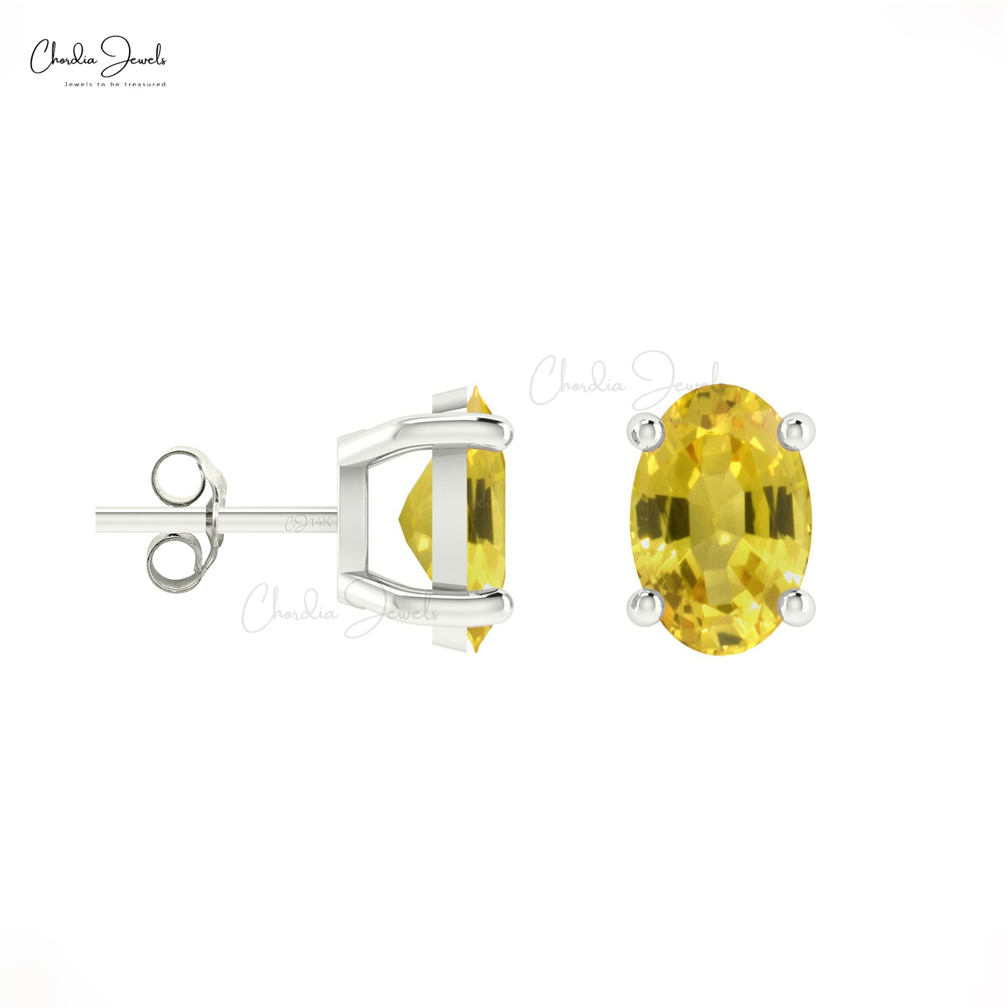 Dainty Stud Earrings