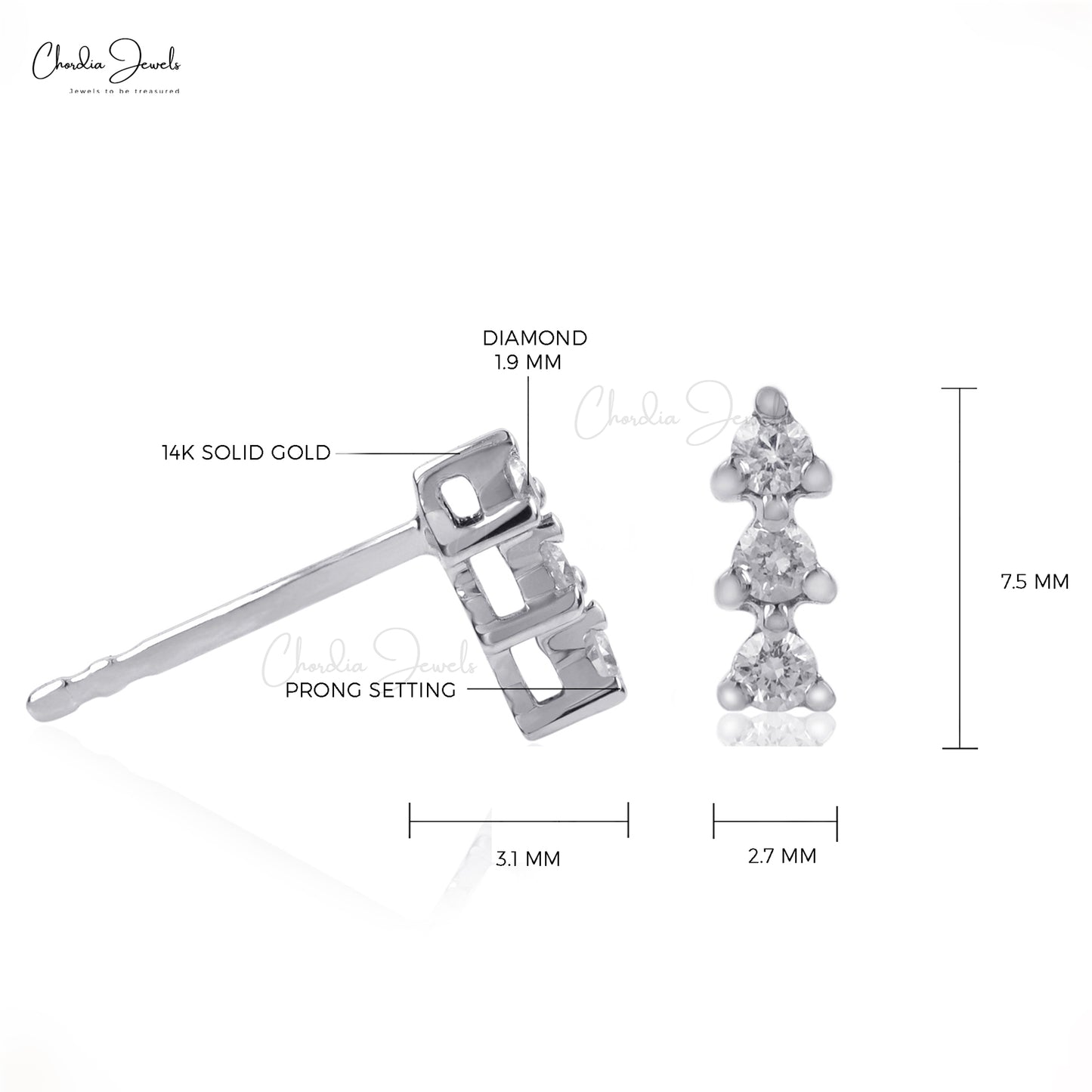 Delicate Studs 