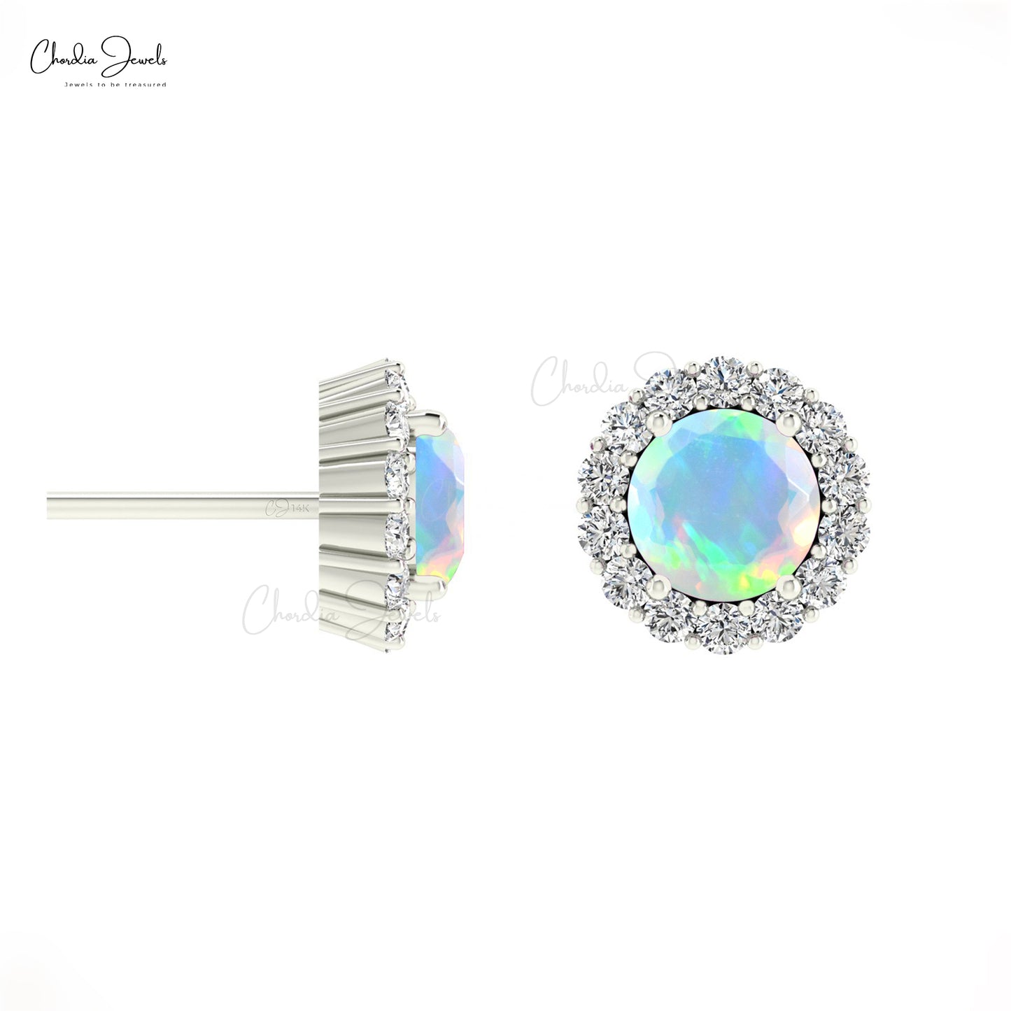 14k Solid Gold Earrings